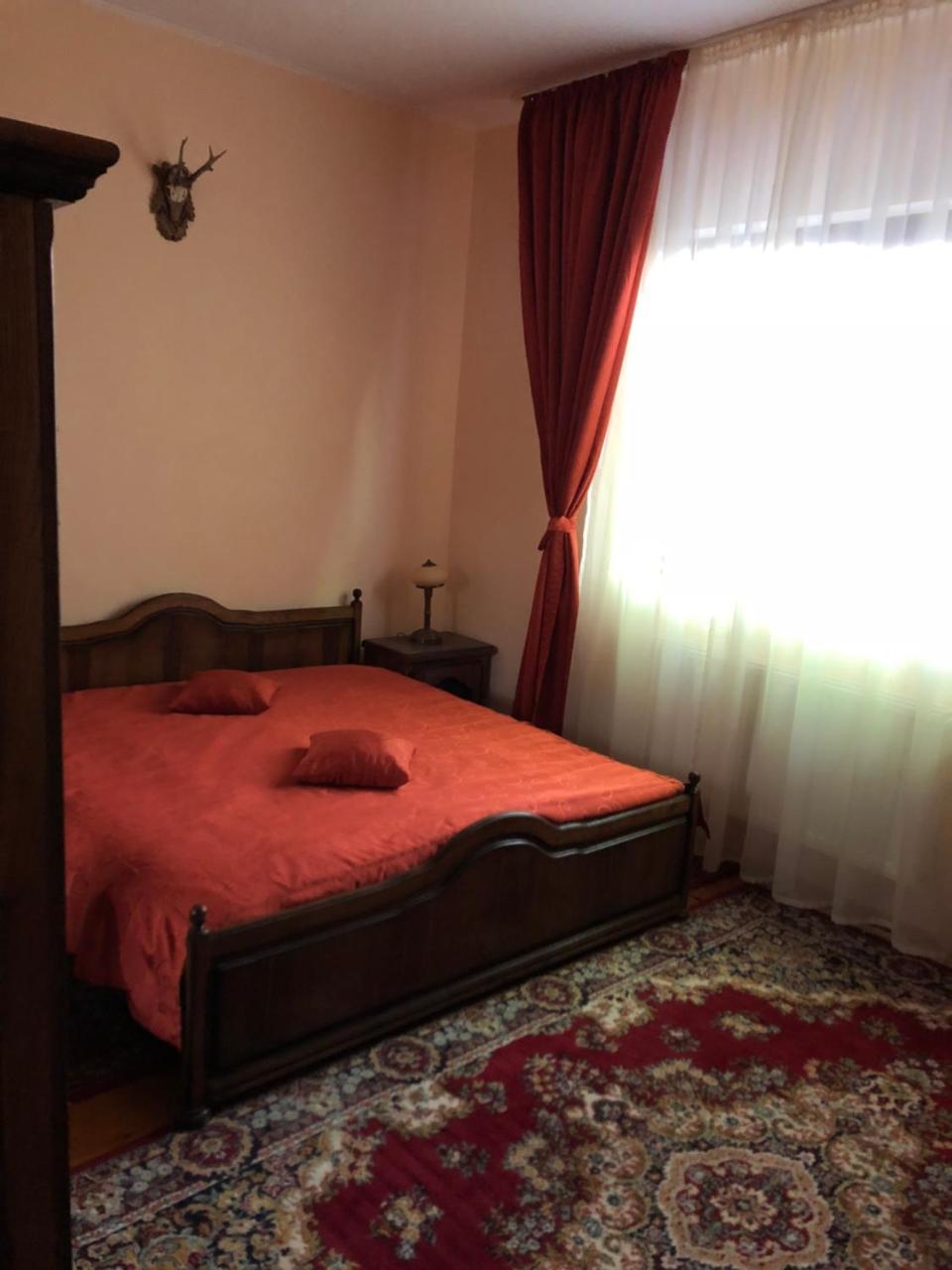 Pensiunea Valea Gepisului Grosi  Buitenkant foto